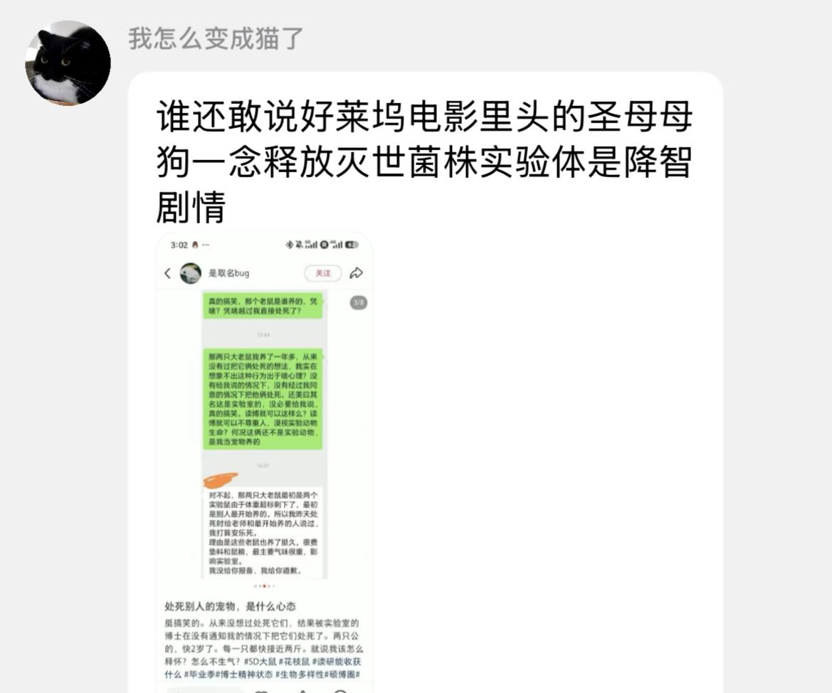 集美把实验室里的SD大鼠当宠物养（图片 1/5）