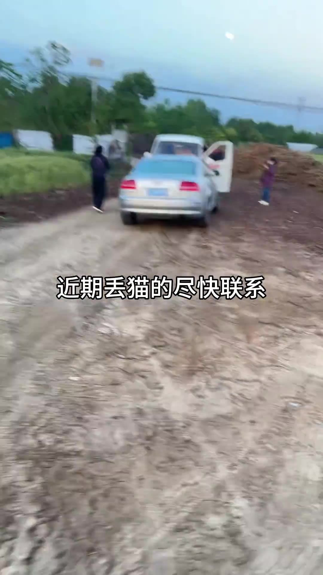 安徽，淮南一辆车里有9 个笼，里面被偷猫约200只。（视频 1/1）
