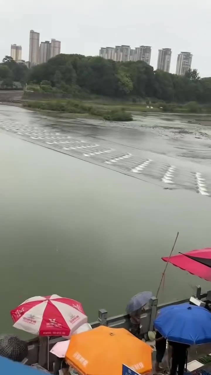 湖南洞口一桥（视频 1/1）
