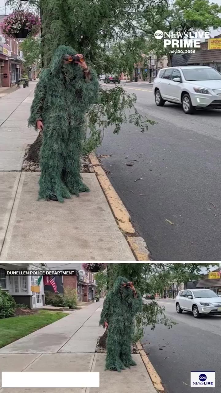 🇺🇸 美国 位于#NewYork市郊的一个警察部门,正在使用一种非常规的策略来抓捕分心的驾驶员,他们派遣一名穿着灌木丛服装,并配备望远镜的警官,以发现违规者。…