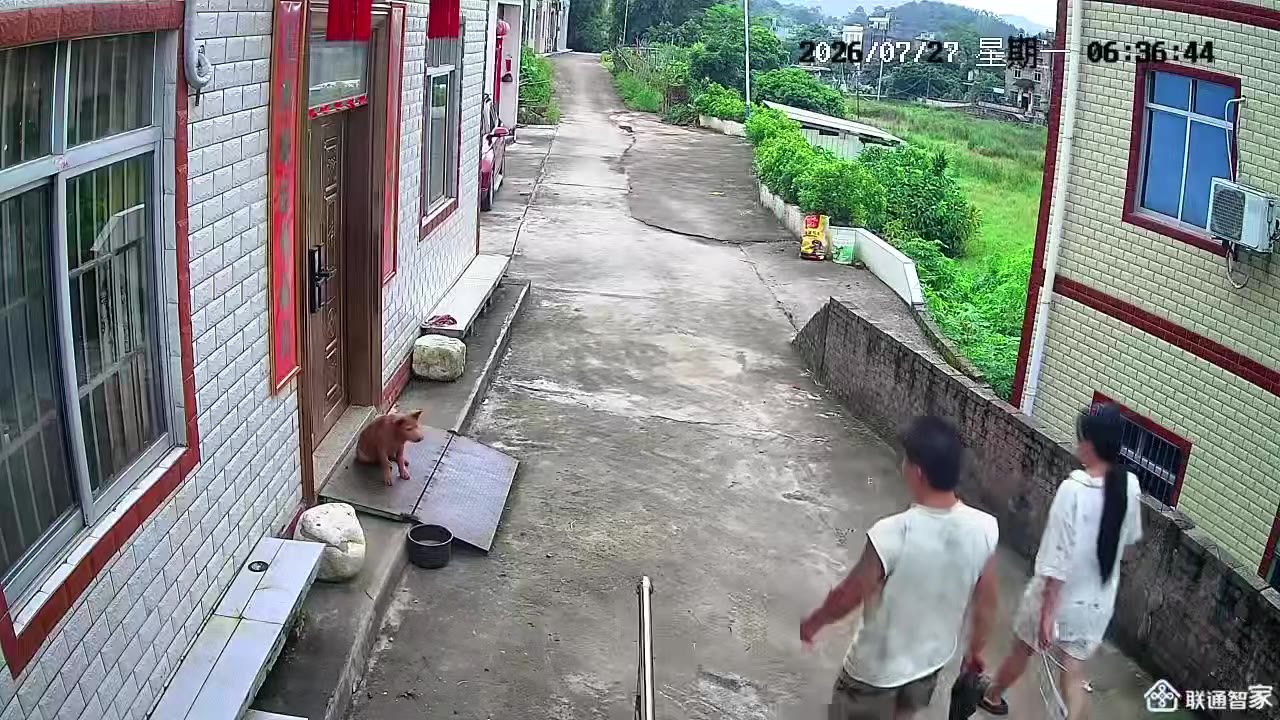 估计是狗之前追咬过他吧 打狗（视频 1/1）