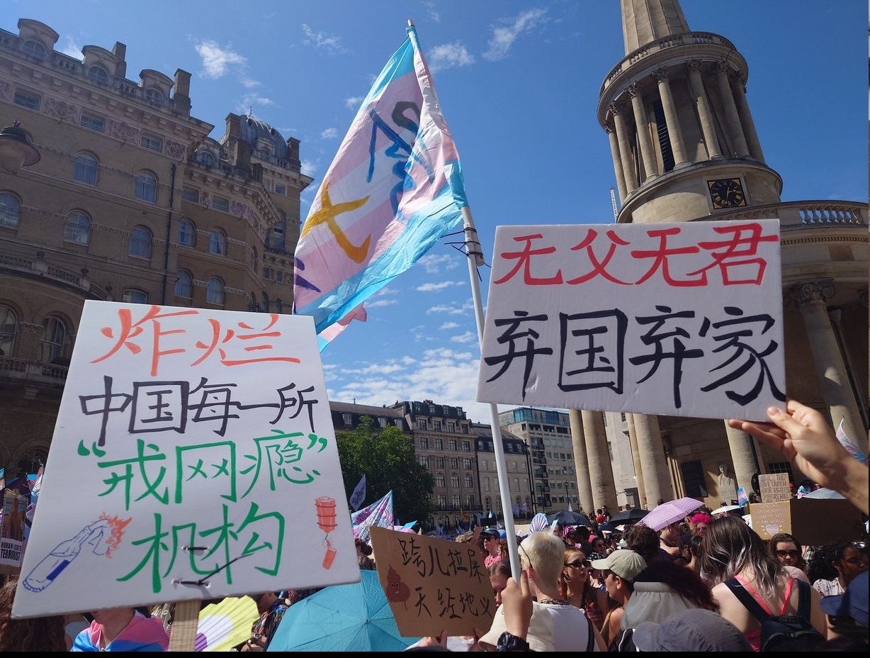 #投稿：2026年最霸气的一句话 跨儿拉屎天经地义 （哪里人 ？）（图片 1/2）