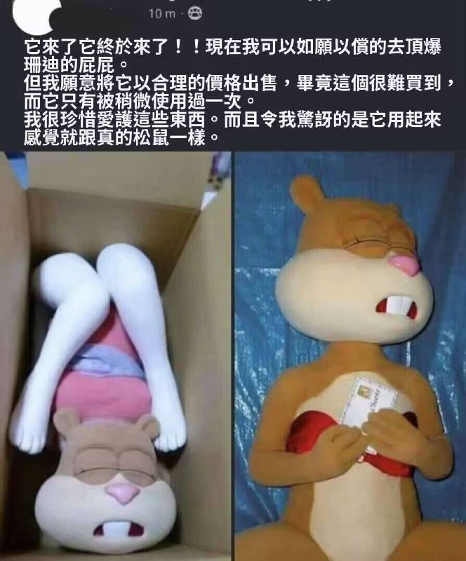 #性癖 珊迪（图片 1/1）
