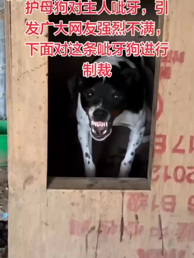 帖子视频 1/3