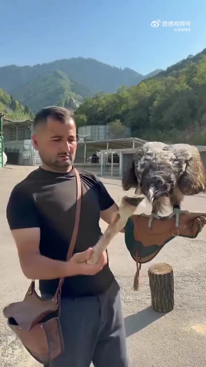 我看着都感觉嗓子卡着难受（视频 1/1）