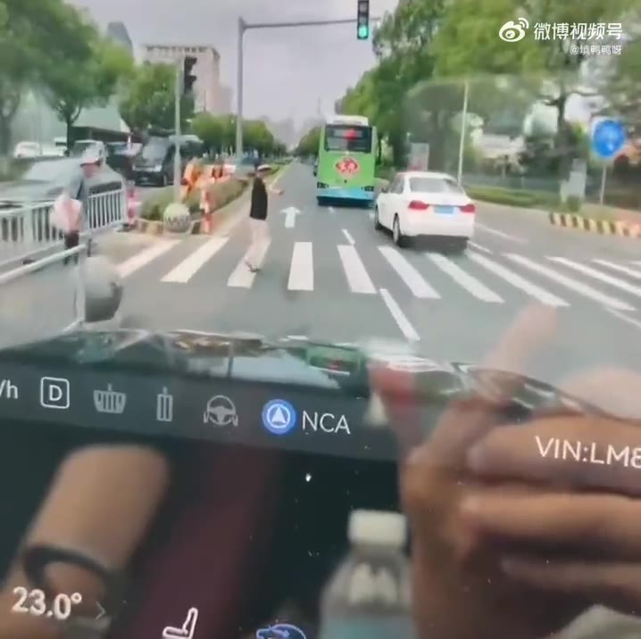 机动车这不是绿灯吗？（视频 1/1）