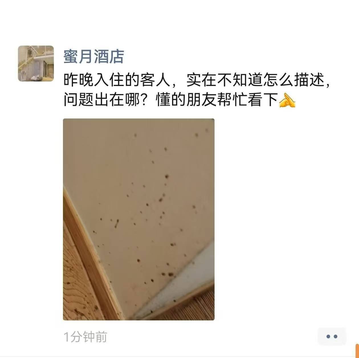 酒店 🏨 喷屎 屁眼怪闹麻了 ？ 🤣 @dbbk0 @dbbk4 @qqxiha（图片 1/3）