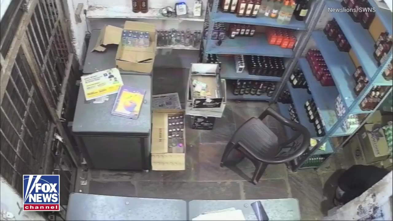 一只豹子闯入印度一家酒类商店，并袭击了一名工作人员。此前，这只豹子已经造成多人受伤，引发了一场可怕的清晨袭击事件。 据称，这只大型猫科动物此前袭击了一名正在调…