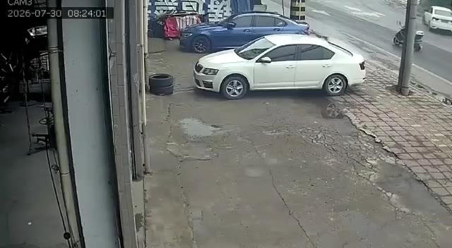 成都龙泉驿 #车祸 #逆行 #三轮车 这该是谁的责任？（视频 1/1）