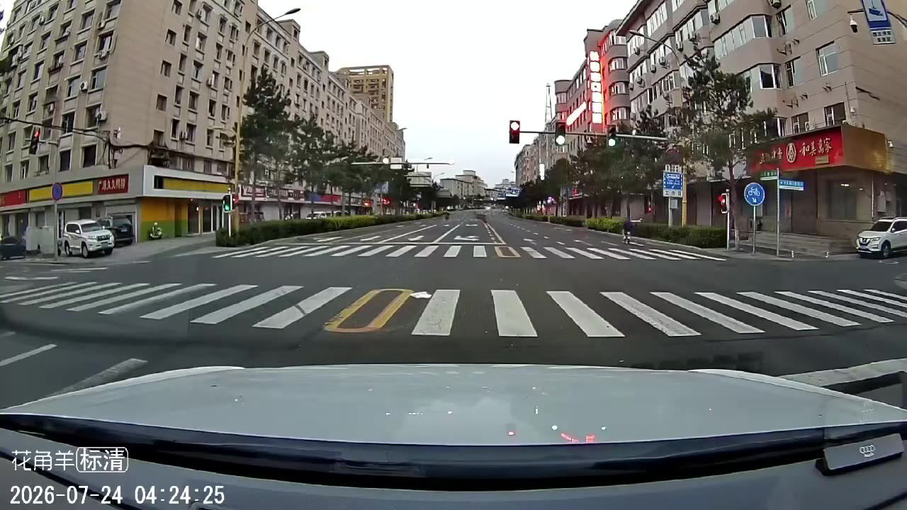 拐弯撞直行 #车祸（视频 1/1）