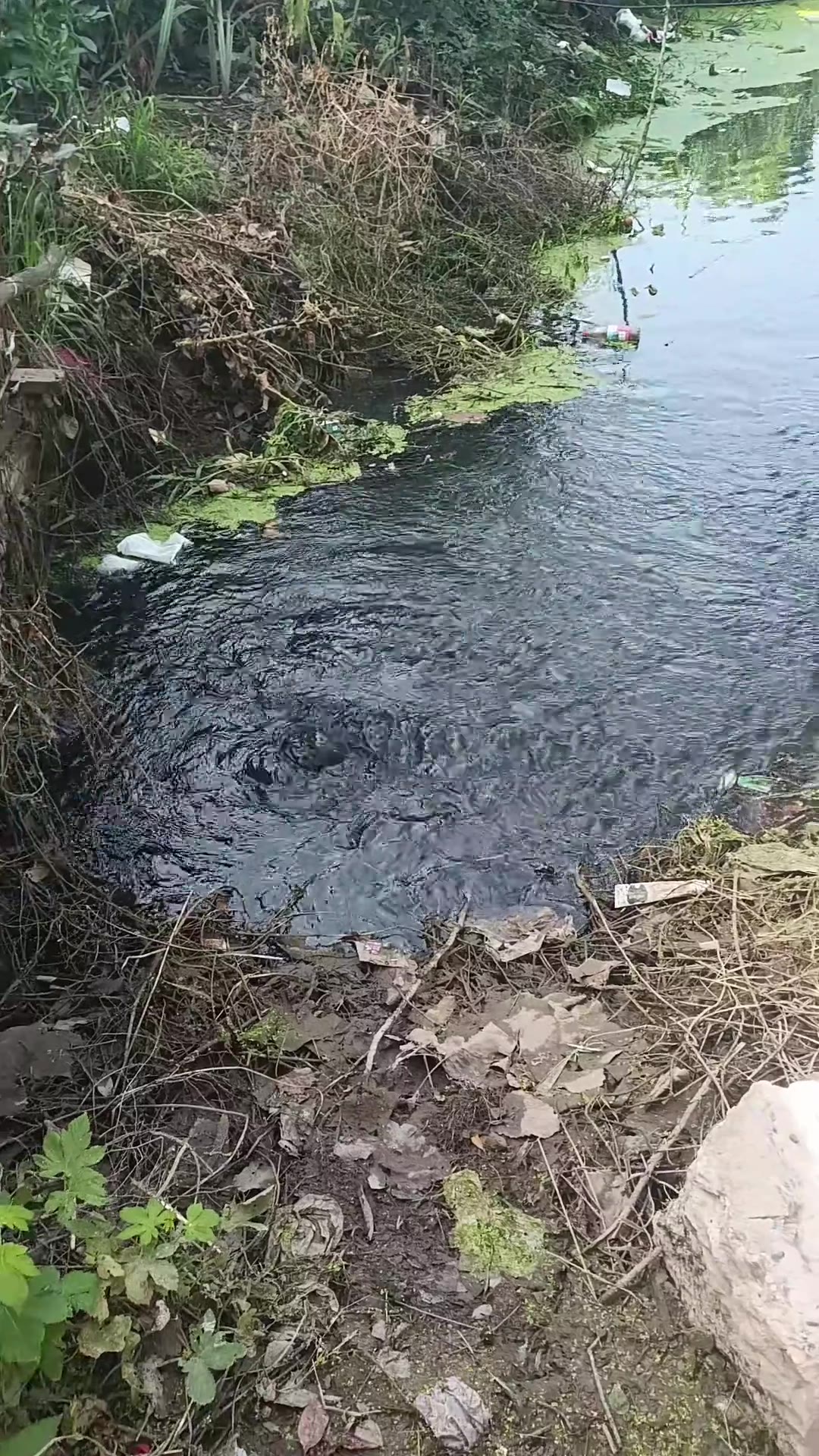 河南，污水直排。（视频 1/1）