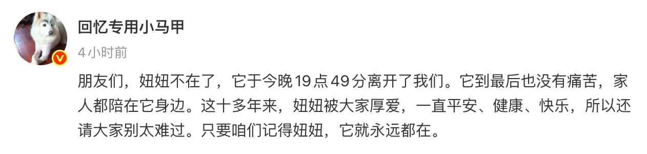 千万粉丝博主小狗妞妞去世（图片 1/1）
