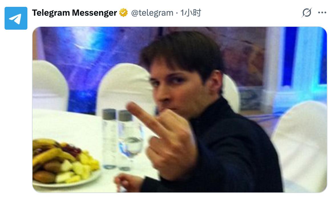 俄罗斯以“协助恐怖主义”为由指控 Telegram 创始人兼 CEO Pavel Durov。 目前，国际逮捕令已经签发。（图片 1/1）