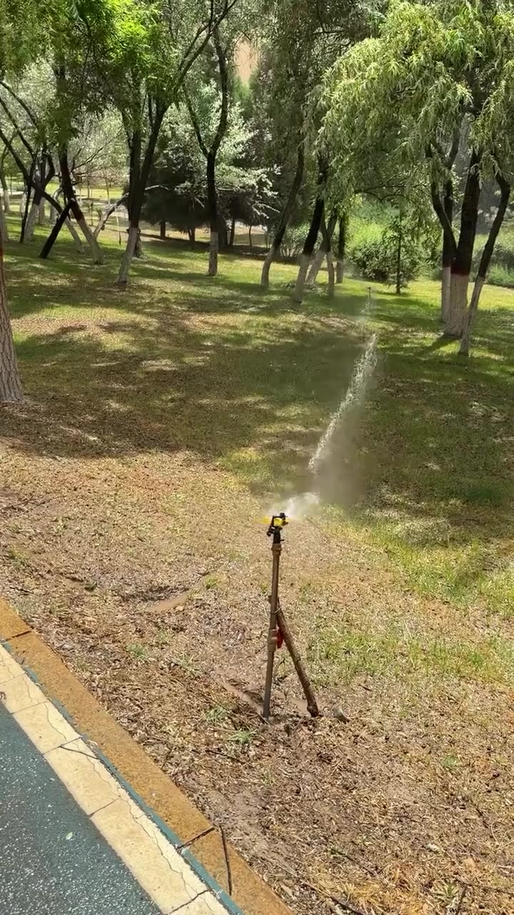 故意弄成这样的🤔，天才！（视频 1/1）