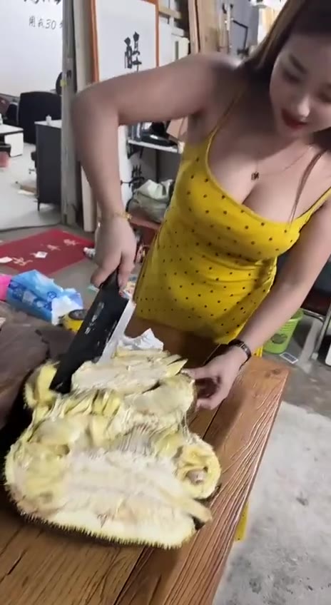 榴莲非常大 果实累累（视频 1/1）