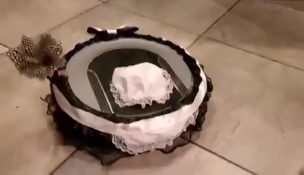女仆机器人😮（视频 1/1）
