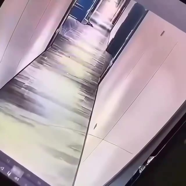 酒店 躲猫猫 玩的真 #刺激 #裸体 追逐 #主人的任务 ？（视频 1/1）