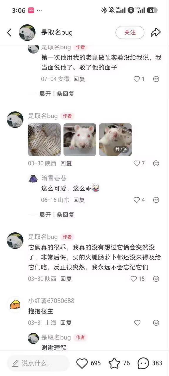 集美把实验室里的SD大鼠当宠物养（图片 4/5）