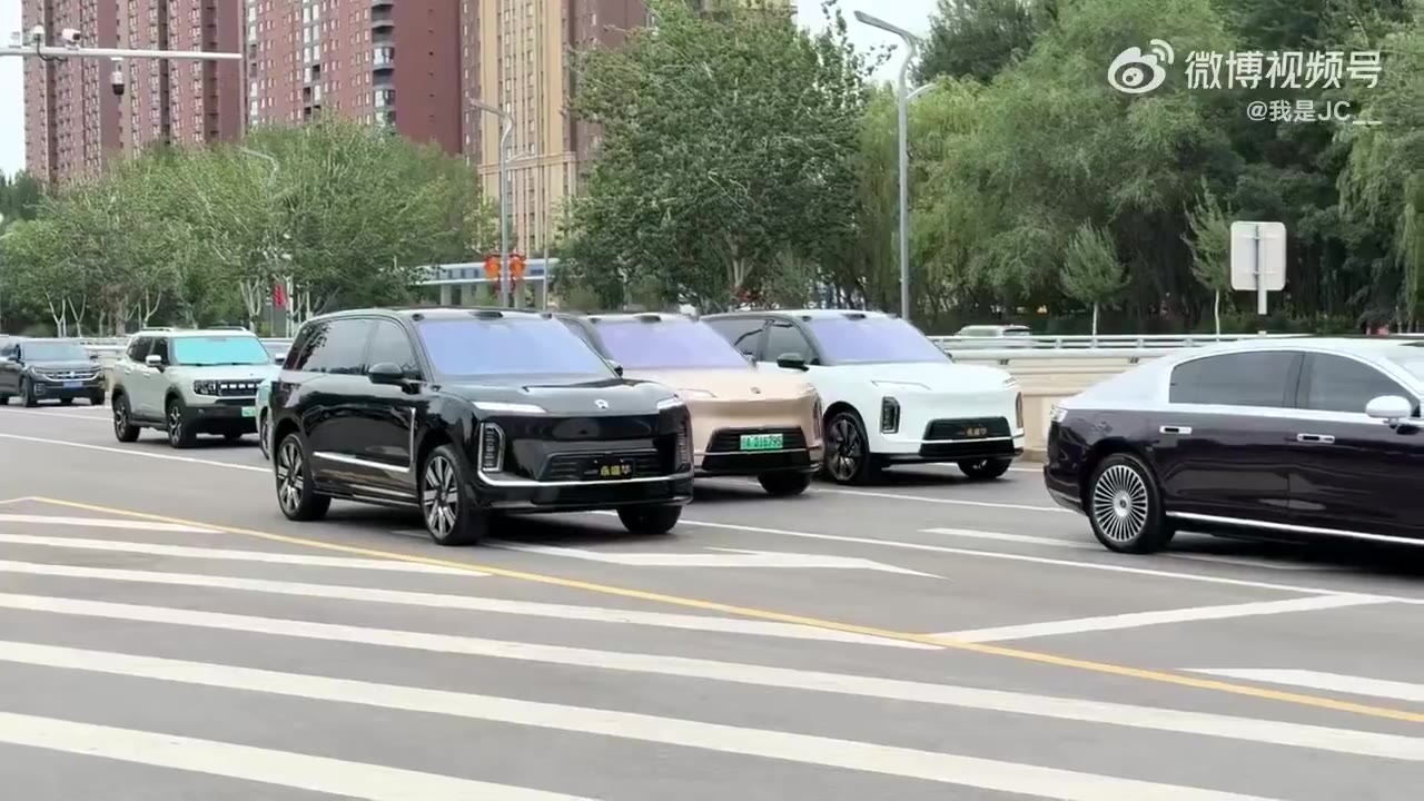 这是创新还是病态？ #新能源 摇摆（视频 1/1）