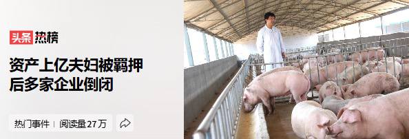 2016年,企业家王飞被招商引资到河南省驻马店市新蔡县产业集聚区。 2017年,王飞在产业园买下50多亩地,开始建新厂房,共投资5000多万。 期间不断扩产,…