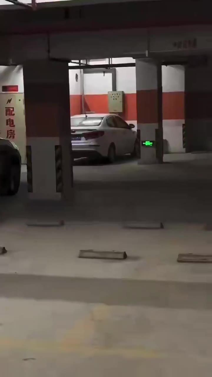 地下工作者 #车震（视频 1/1）