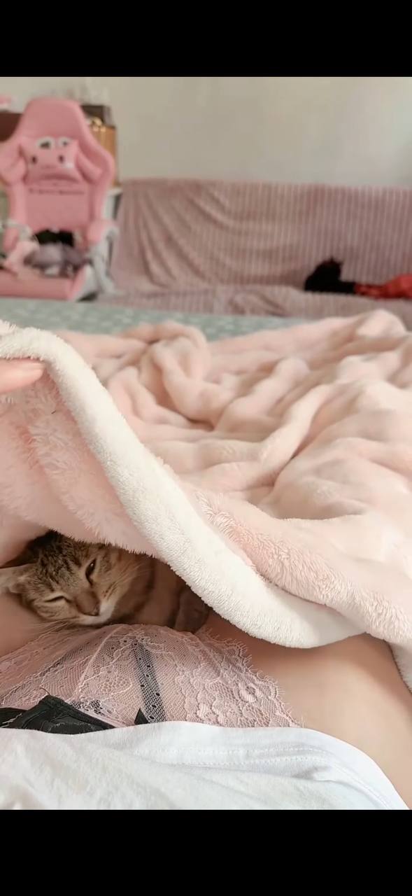 #猫猫头 海鲜味 香迷糊了 （图片 1/2）