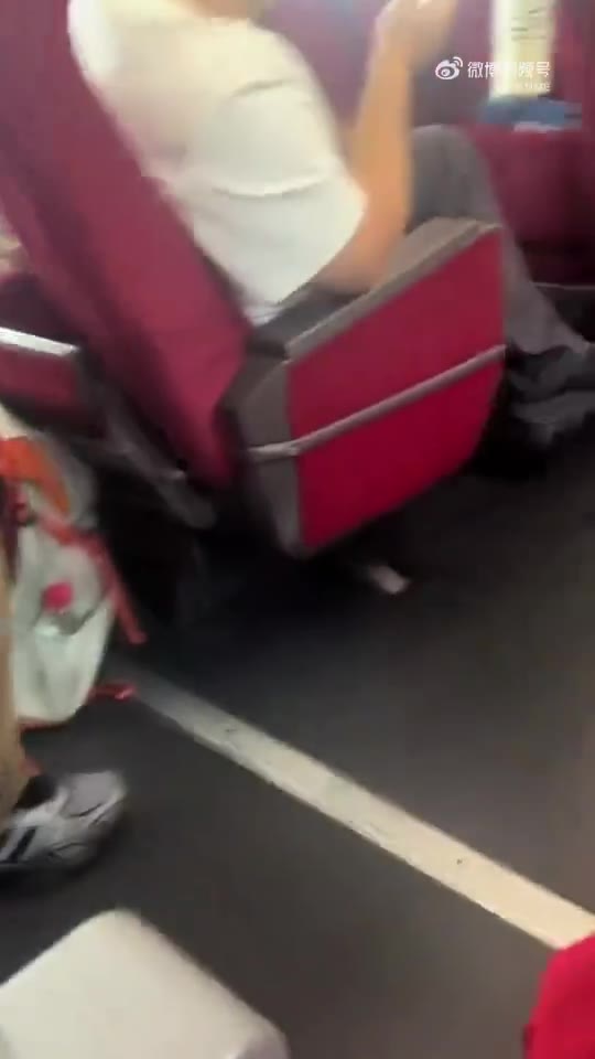 警方通报女子高铁上叫嚣全家体制内（视频 1/2）