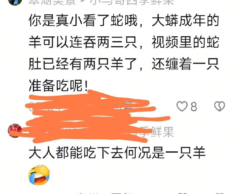 蟒蛇偷吃羊被抓，听方言应该是梅州五华客家人（图片 1/2）