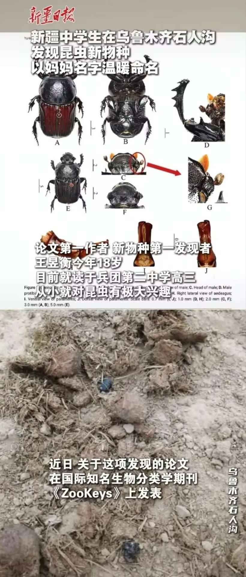少爷 爱学习 少爷 “新发明” 愣着干啥？点赞啊 👍（图片 4/7）
