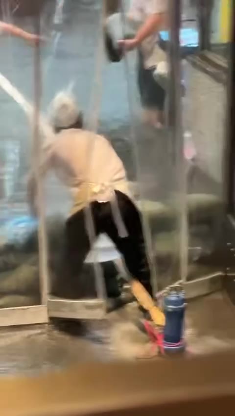 成都 “ 水上餐厅 ？”（视频 1/2）
